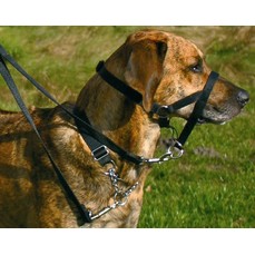 TRIXIE L 31 см намордник для собак тренировочный + 50 см -57 см шейный ремень  (13004)