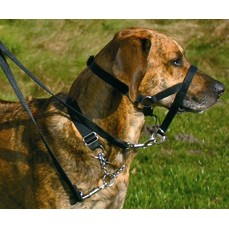 TRIXIE XL 40 см намордник для собак тренировочный + 46 см-58 см шейный ремень  (13007)